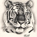 Dessin réalisé par Kalil - Graphite sur vélin d'Arches
