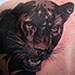 Tattoo réalisé par Calvin